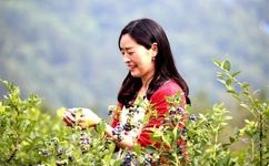 成人在线观看不卡